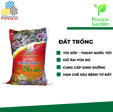 Đắt trồng hữu cơ 