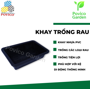 Khay trồng rau 63x40x15cm